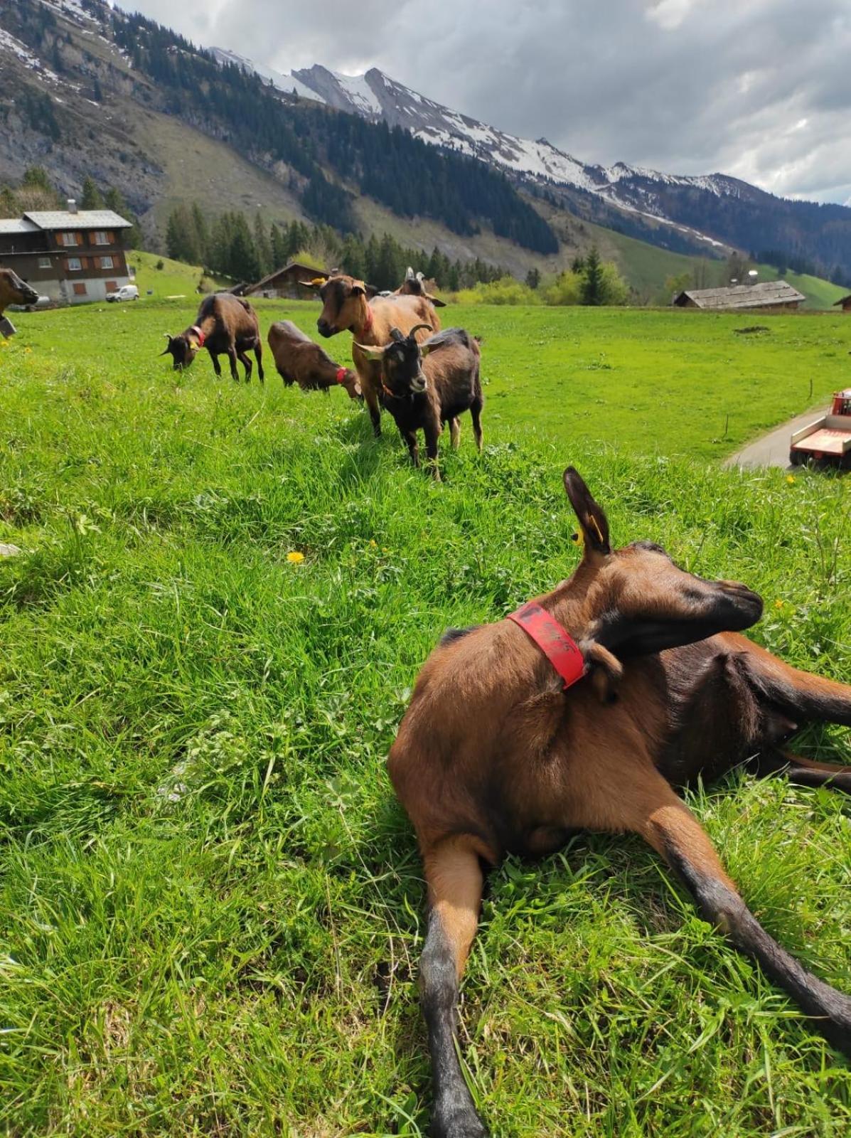 Le Week-End 3 Etoiles, Plein Centre Ville La Clusaz Exterior foto